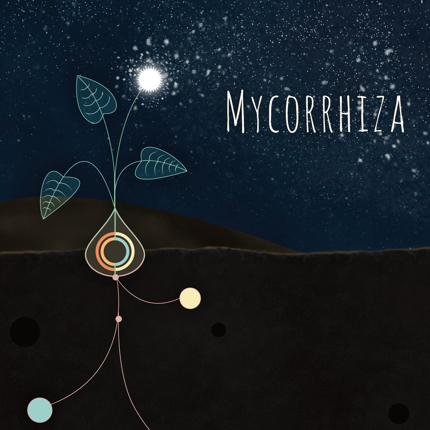 Mycorrhiza preview
